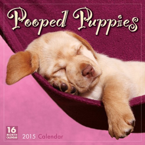 9781416295426 - POOPED PUPPIES 2015 WALL CALENDAR