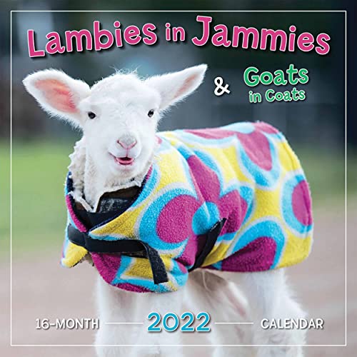 9781531912512 - LAMBIES IN JAMMIES & GOATS IN COATS 2022 WALL CALENDAR 16-MONTH