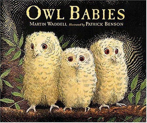 9781564029652 - OWL BABIES