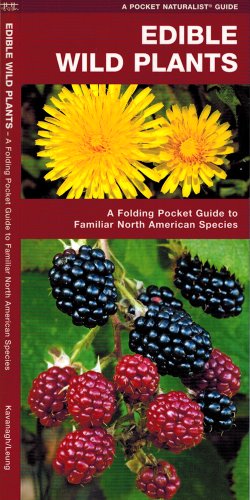 9781583551271 - EDIBLE WILD PLANTS: A FOLDING POCKET GUIDE TO FAMILIAR NORTH AMERICAN SPECIES (POCKET NATURALIST GUIDE SERIES)