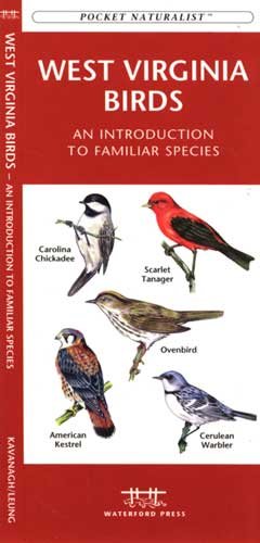 9781583551868 - WEST VIRGINIA BIRDS : AN INTRODUCTION TO FAMILIAR SPECIES