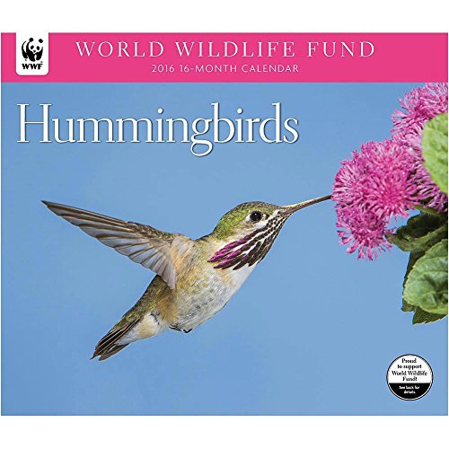 9781620213865 - WWF HUMMINGBIRDS WALL CALENDAR BY CALENDAR INK