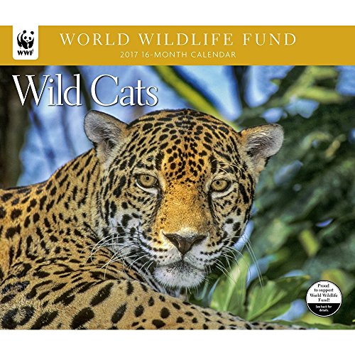 9781620215753 - WILD CATS WWF WALL CALENDAR BY CALENDAR INK