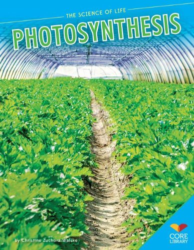 9781624031625 - PHOTOSYNTHESIS (THE SCIENCE OF LIFE)