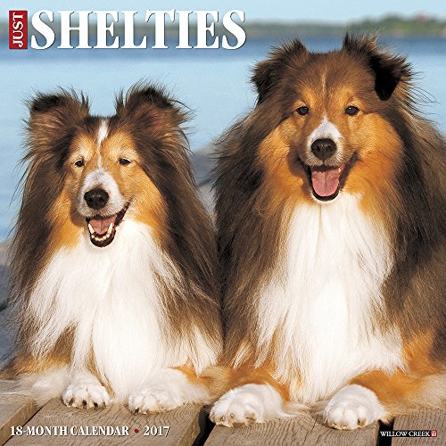 9781682341933 - JUST SHELTIES BY WILLOW CREEK PRESS