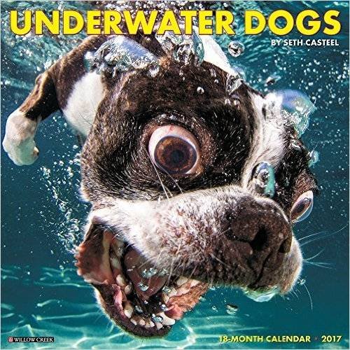 9781682342138 - UNDERWATER DOGS 2017 WALL CALENDAR