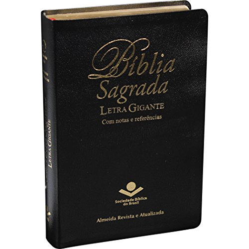 9788531111228 - BIBLIA SEGRADA LETRA GIGANTE COM NOTAS E REFERENCIAS-FL (PORTUGUESE EDITION)