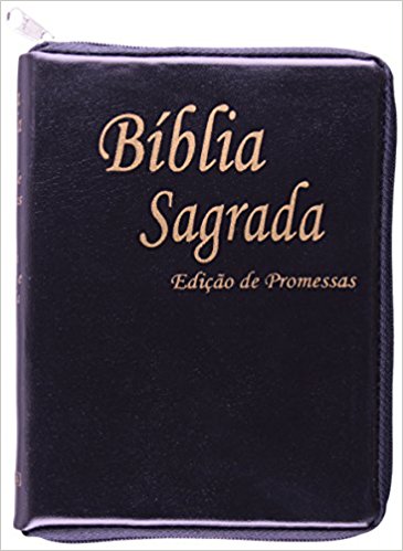 Bíblia da Promessa (Volume 1) [1] (THOR) - Safely Trade Loja de Jogos