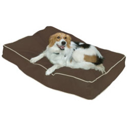 0098198513044 - BUSTER PILLOW DOG BED IN COCOA SIZE SMALL 5 H X 24 W X 36 D
