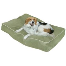 0098198513051 - BUSTER PILLOW DOG BED IN MOSS SIZE MEDIUM 6 H X 30 W X 42 D