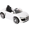 7898319425194 - BIEMME AUDI R8