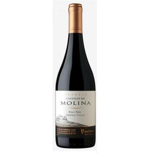 7804300121693 - CASTILLO MOLINA RESERVA VINA SAN PEDRO TINTO PINOT NOIR 2008